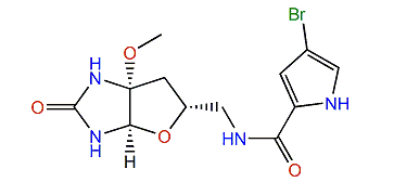 Slagenin B